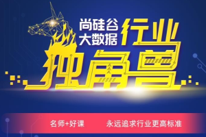 尚硅谷大数据项目实战提升大神班【完结】2021年