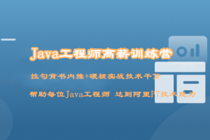 Java工程师高薪训练营（完结）