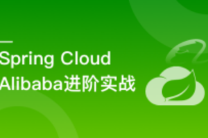 Spring Cloud Alibaba 大型互联网领域多场景最佳实践(完结）