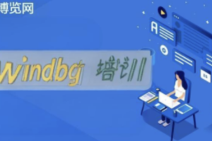 博览网windbg培训.net