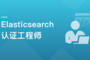 国际证书-Elasticsearch 认证工程师 一站式通关课(已完结)