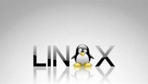 Linux程序设计从入门到实战