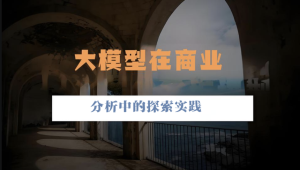 大模型在商业分析中的探索实践