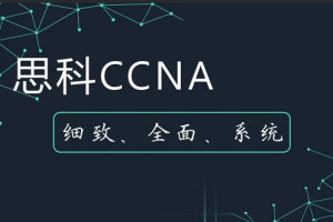 WOLF实验室-CCNA全套课程(2022)