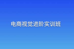 电商视觉进阶实训班(完结)