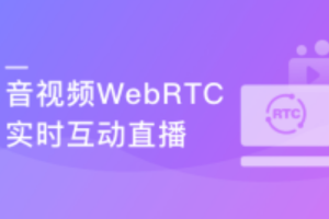 WebRTC实时互动直播技术入门与实战 5G时代必备技能(完结)