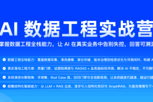 AI数据工程实战营